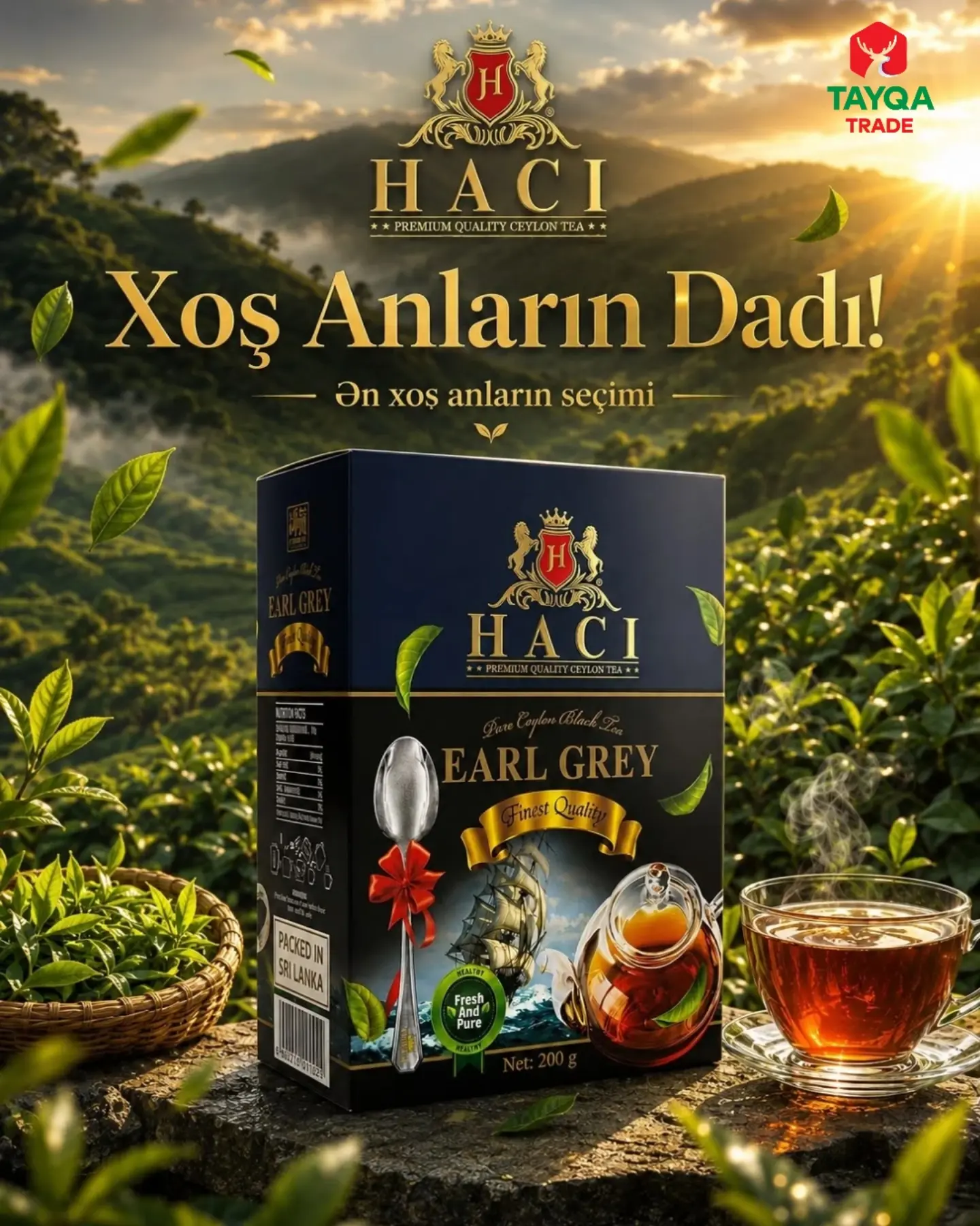 Hacı Tea